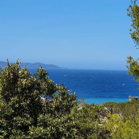 Les Gites Du Cap Corse Nonza Bagian luar foto