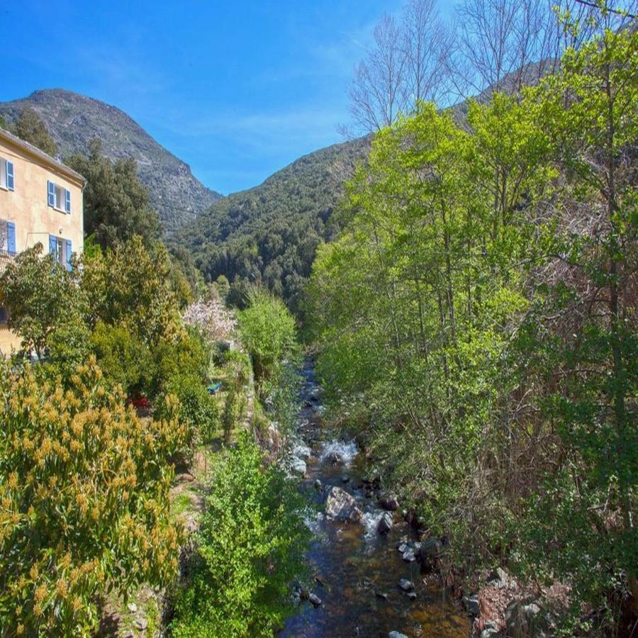 Les Gites Du Cap Corse Nonza Bagian luar foto