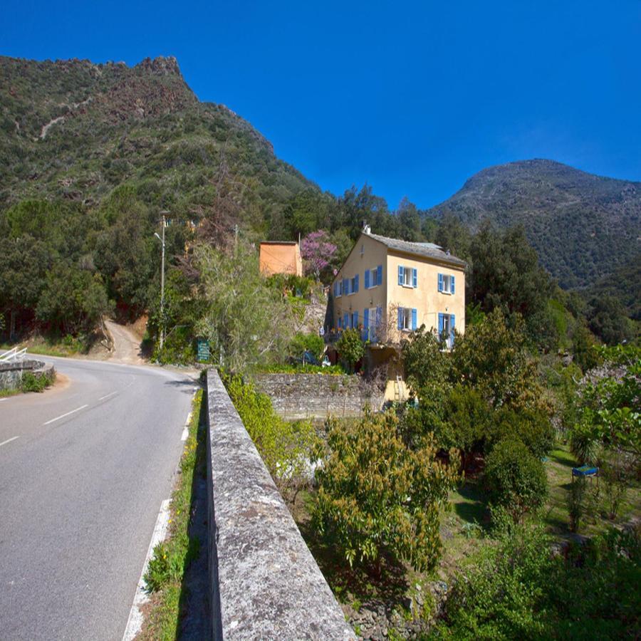 Les Gites Du Cap Corse Nonza Bagian luar foto