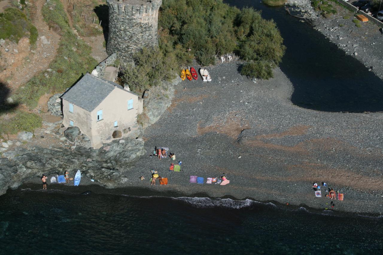 Les Gites Du Cap Corse Nonza Bagian luar foto